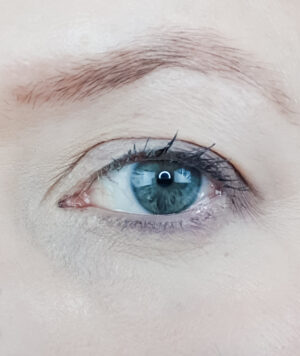 Simple Everyday Natural Makeup Tutorial for Mature Skin 1 photo of an eye with natural looking makeup