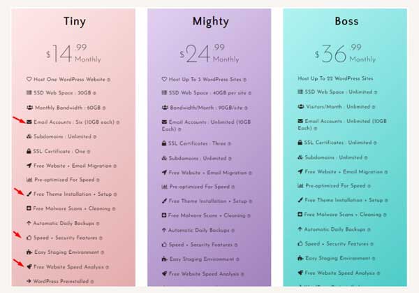 Lyrical Hosting Review: Best WordPress Hosting for Beauty Blogger 9 Lyrical host pricing