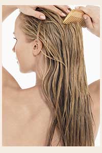 Women’s hair loss: Causes, Treatment, and Solutions 14 best hair brush to prevent hair loss and hair shedding