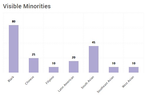 visible minorities at Elliot Lake