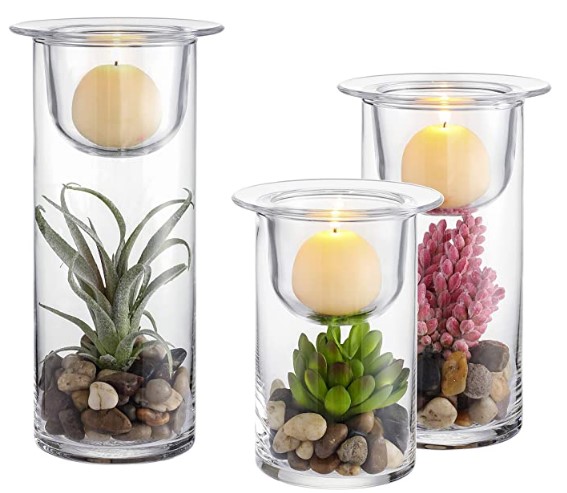 Glass Hurricane Candle Holder and Succulent Holder