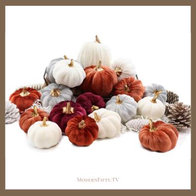 Velvet Pumpkins
